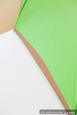 How to Make Colorful Fruit Slice Umbrellas for Drinks 23 DIY Fruit Slice Umbrellas