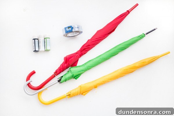 How to Make Colorful Fruit Slice Umbrellas for Drinks 4 DIY Fruit Slice Umbrellas