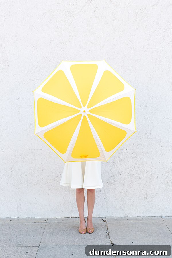 How to Make Colorful Fruit Slice Umbrellas for Drinks 5 DIY Lemon Slice Umbrella