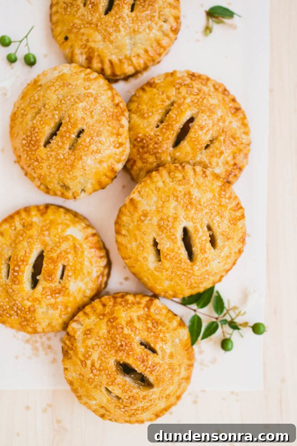 Vanilla Cardamom Pear Hand Pies — Homemade Mini Dessert Pies 13 Mini pies