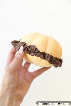 Pumpkin burger craft