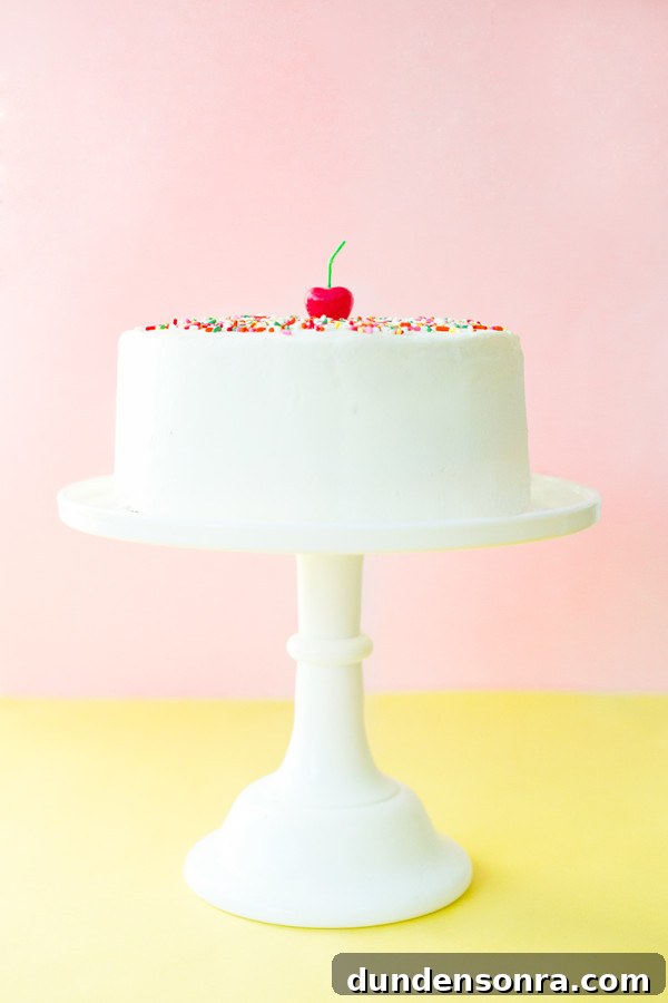 Frosting Techniques to Create a Stunning Birthday Cake 11 The Best Birthday Cake Ever