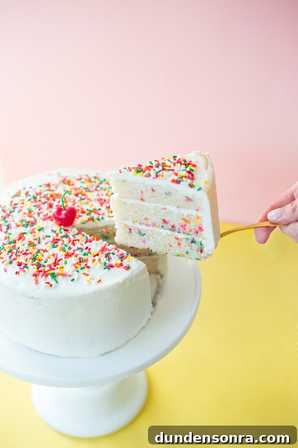 Frosting Techniques to Create a Stunning Birthday Cake 12 Funfetti Birthday Cake