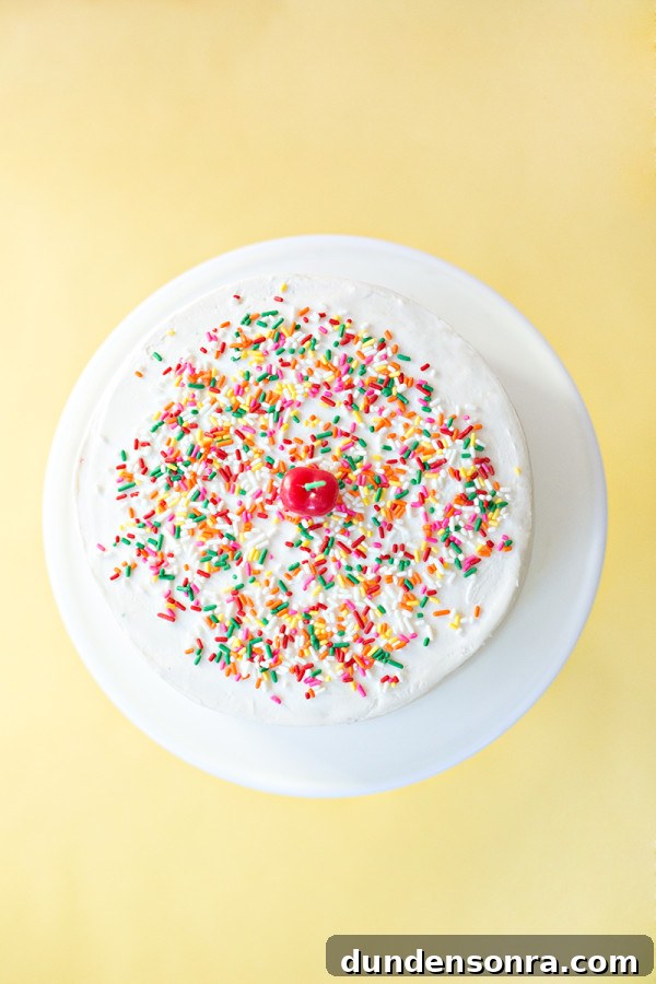 Frosting Techniques to Create a Stunning Birthday Cake 3 Sprinkle Birthday Cake