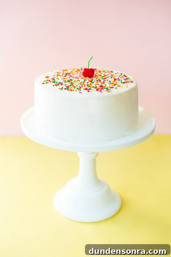 Frosting Techniques to Create a Stunning Birthday Cake 4 The Best Birthday Cake Ever