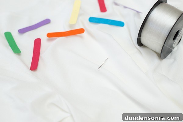 Ice cream costume craft materials 