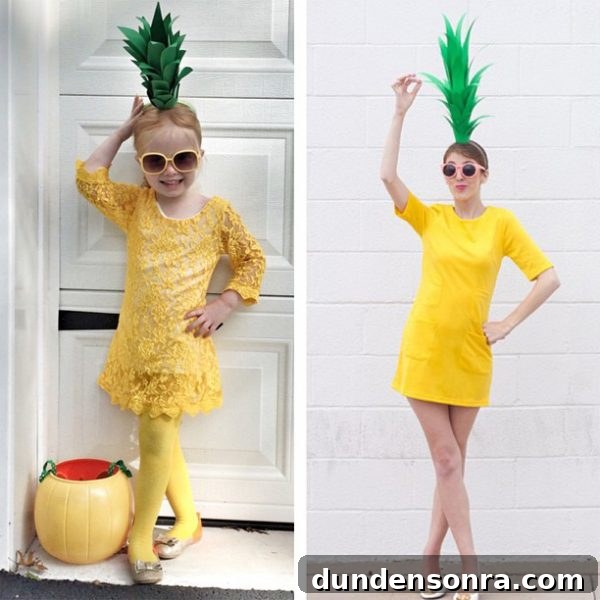 Studio DIY Costume History: Evolution of a Creative Brand 2 DIY Pineapple Costume