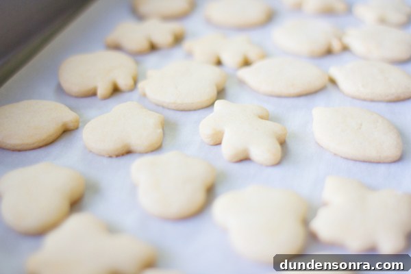 Cookies on a pan