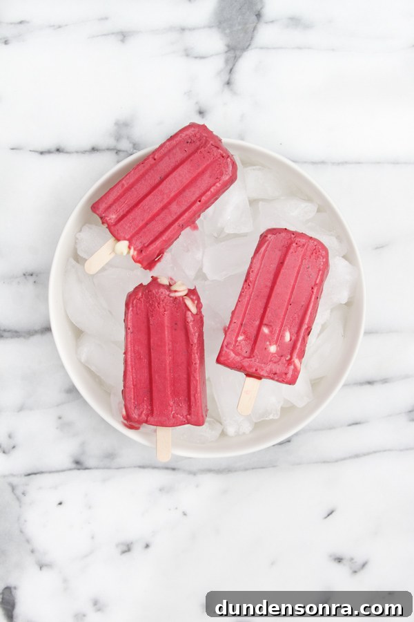 White Chocolate Cranberry Ice Cream Pops Recipe 3 White Chocolate Cranberry Popsicles
