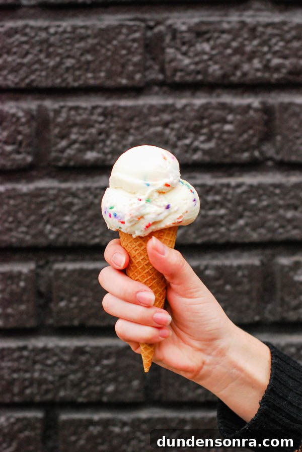 Cupcake Ice Cream
