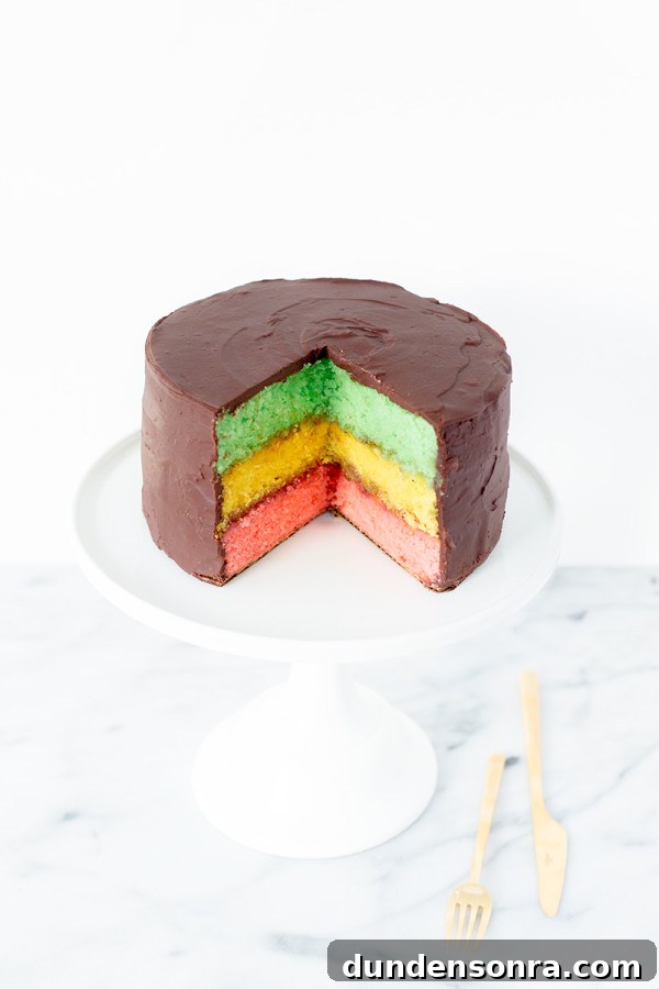 A cake on a plate with colorful layers