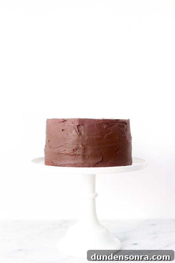 A chocolate cake on a plate