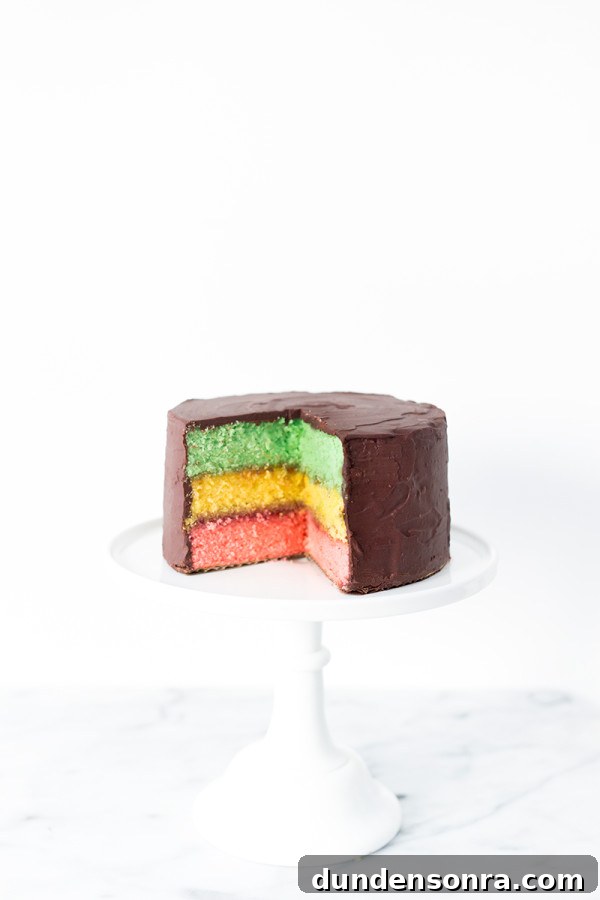 A chocolate cake with colorful layers