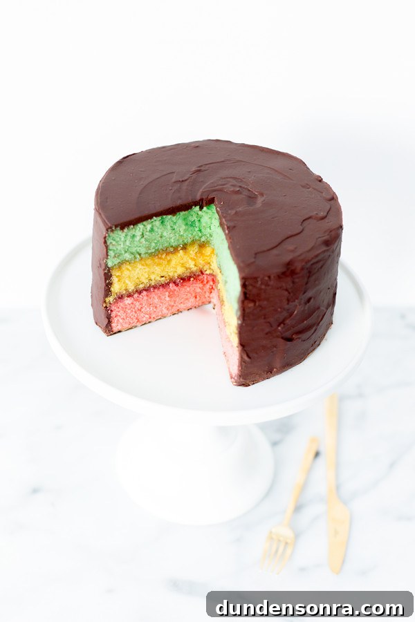 A chocolate cake with colorful layers