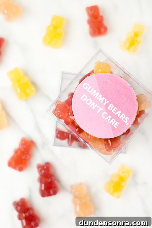 Gummy bears and a plastic case