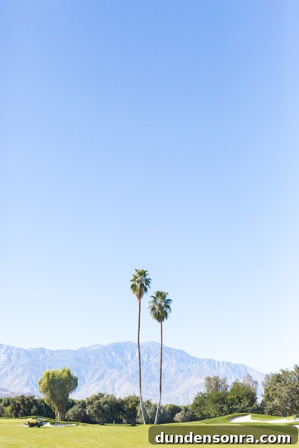 Palm trees and mountains 