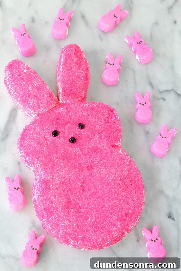 Hot pink bunny cake