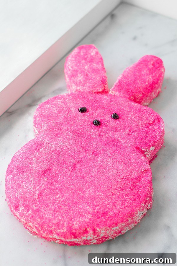 Hot pink bunny cake