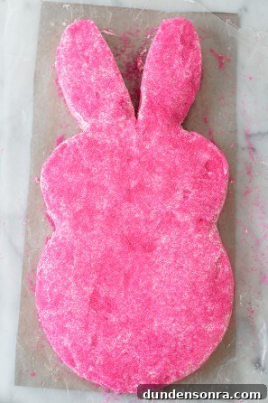 Pink bunny cake 