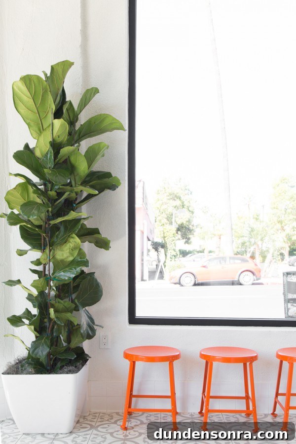 Sugar Fix: Inside Jeni’s Splendid Ice Creams Story 12 A plant and orange stools