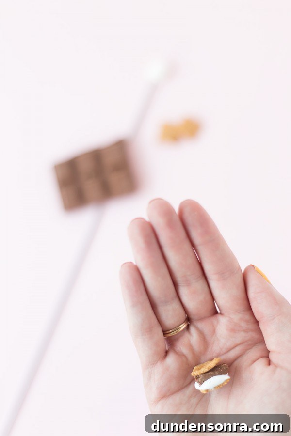 Honey I Shrunk the S'mores April Fools Prank
