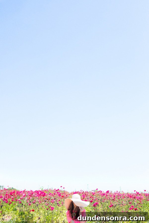 Carlsbad Ranch Flower Fields: What to See, When to Visit 2 The sky