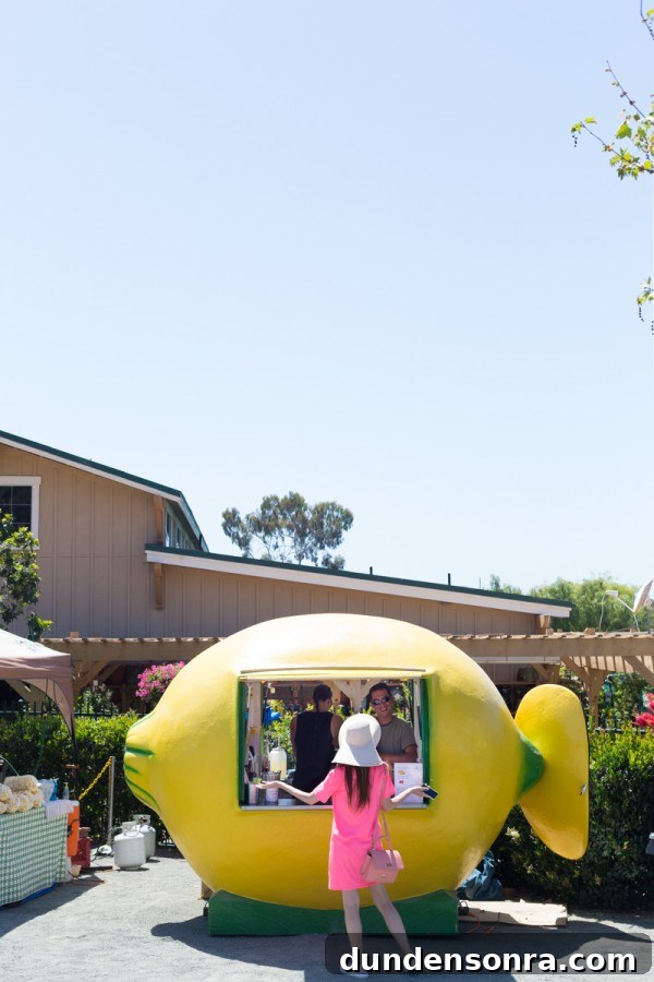 Carlsbad Ranch Flower Fields: What to See, When to Visit 11 Lemonade stand
