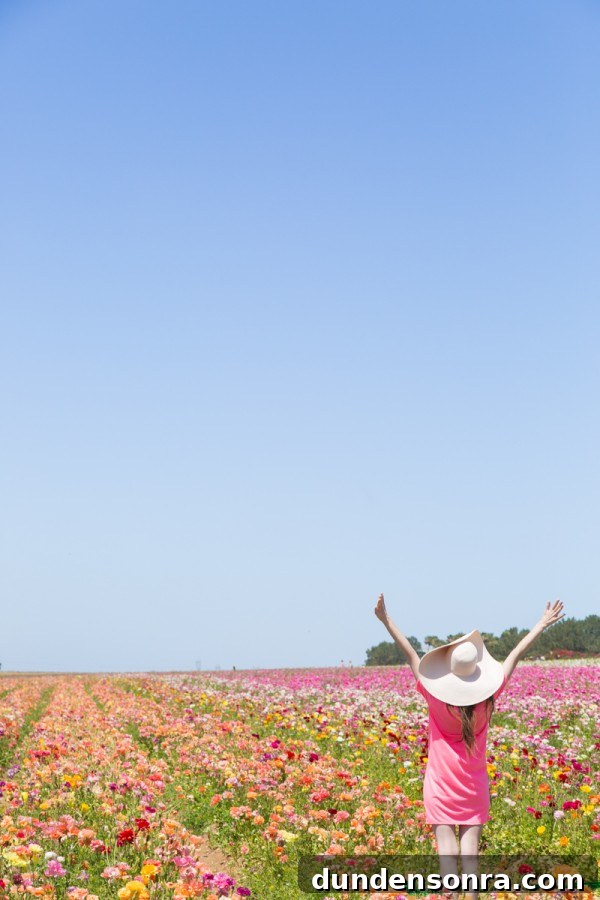 Carlsbad Ranch Flower Fields: What to See, When to Visit 6 Someone standing in a flower field