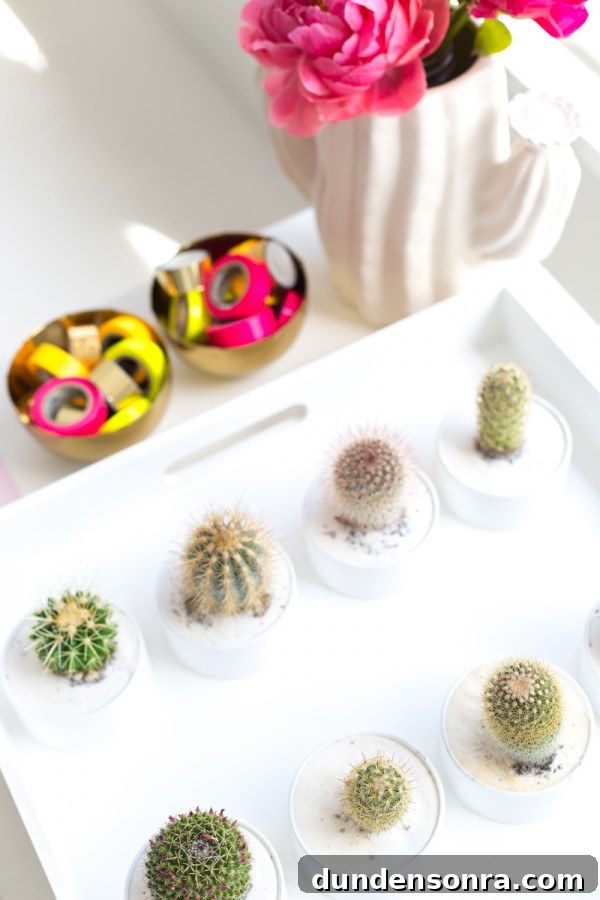 DIY Cactus Favors in PVC Pipe!