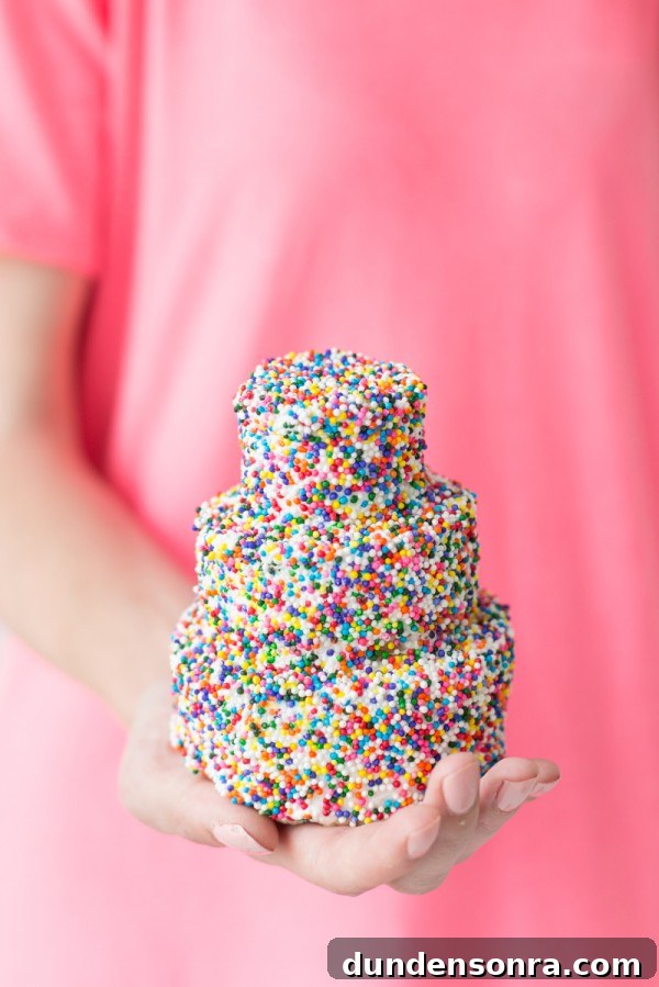 How to Host a Fun Mini Party: Quick Ideas & Planning Tips 10 How to Make A Mini Sprinkle Cake