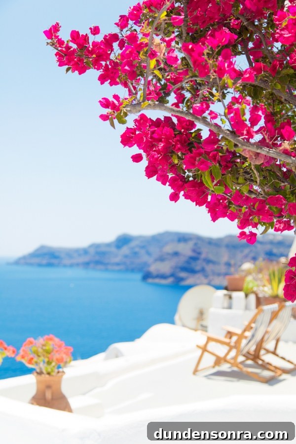 Honeymoon in Santorini: Meet the Mindells' Romantic Getaway 17 Pink flowers and chairs