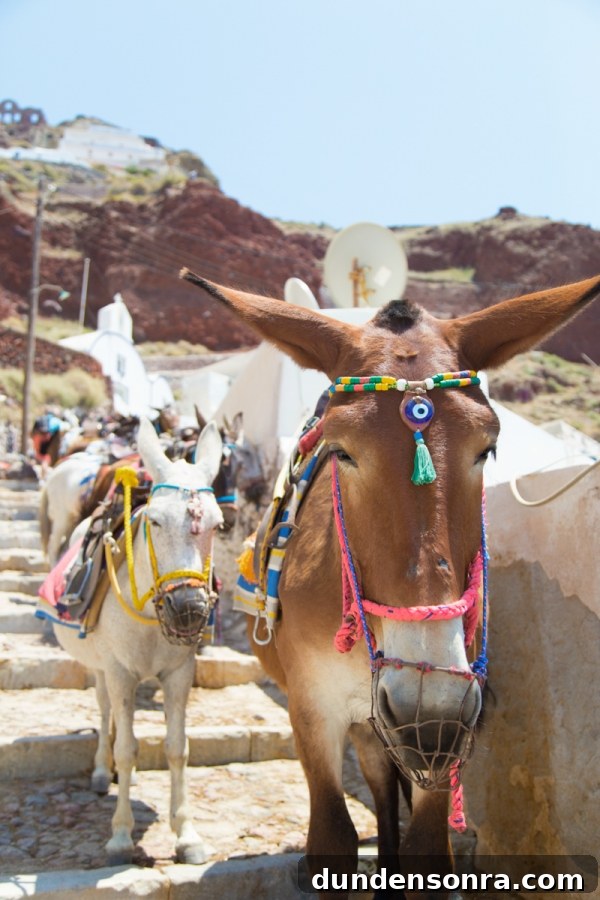 Honeymoon in Santorini: Meet the Mindells' Romantic Getaway 3 Donkeys walking down steps