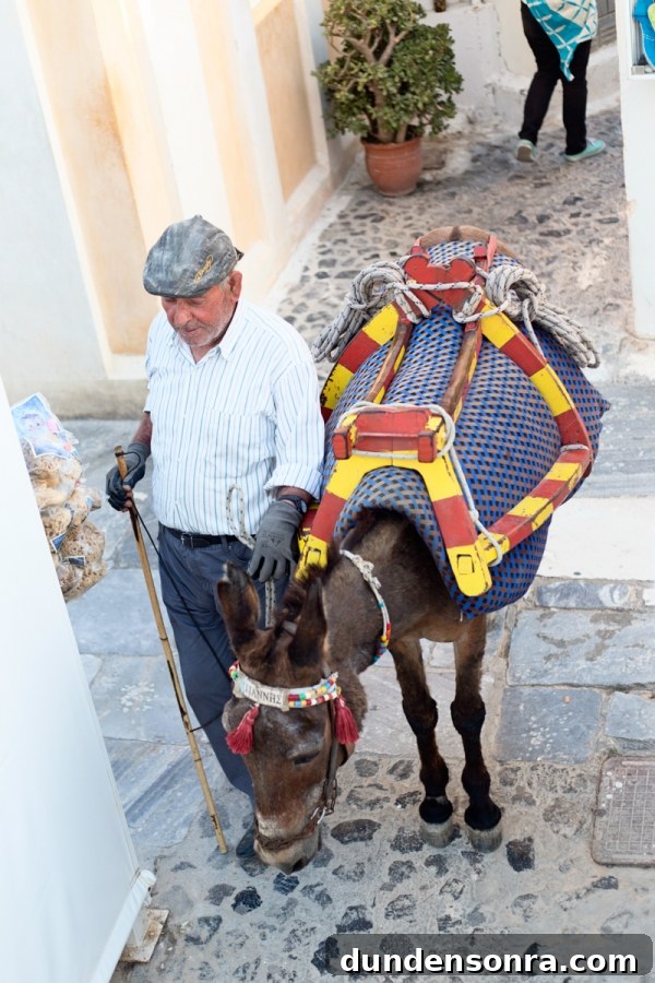 Honeymoon in Santorini: Meet the Mindells' Romantic Getaway 26 A man and a camel