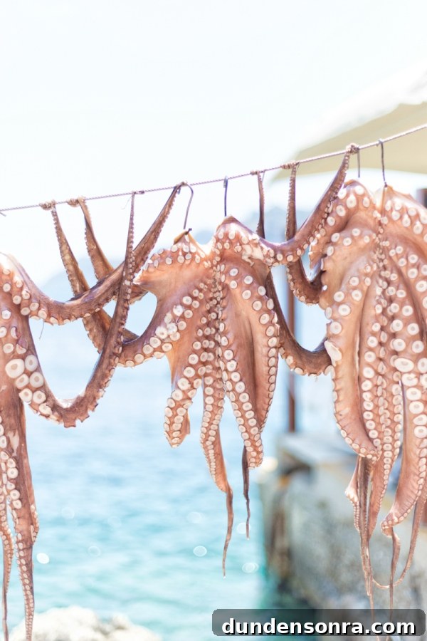 Honeymoon in Santorini: Meet the Mindells' Romantic Getaway 28 Octopus hanging on a string