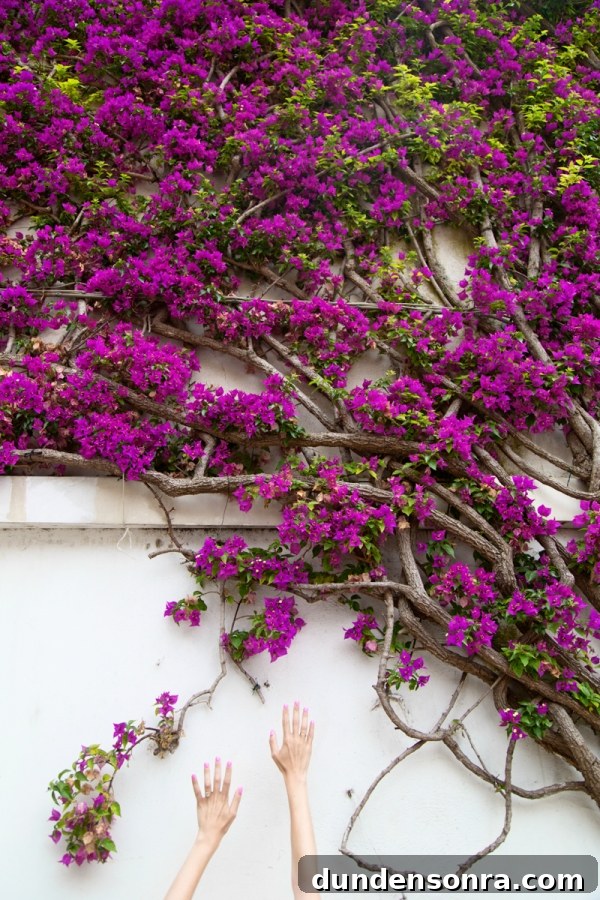Honeymoon in Amalfi Coast: Our Romantic Italian Escape 3 Purple flowers
