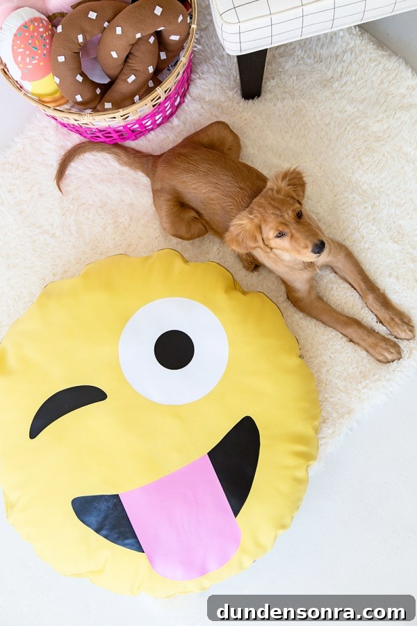 DIY Emoji Dog Bed Tutorial: Make a Cute Plush Pet Pillow 3 A dog on an emoji pillow