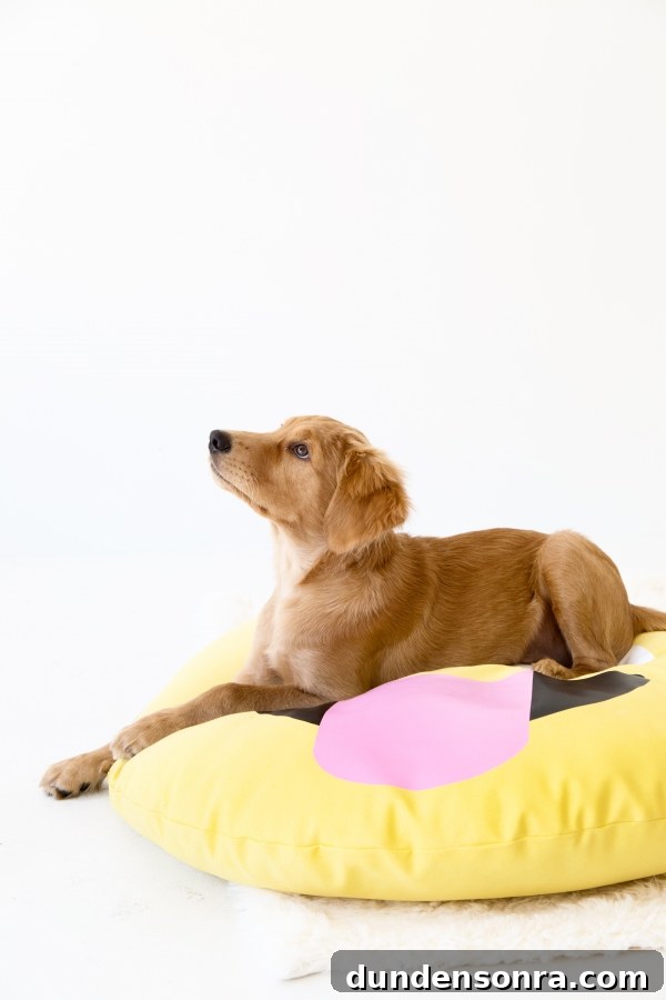 DIY Emoji Dog Bed Tutorial: Make a Cute Plush Pet Pillow 4 A dog on an emoji pillow