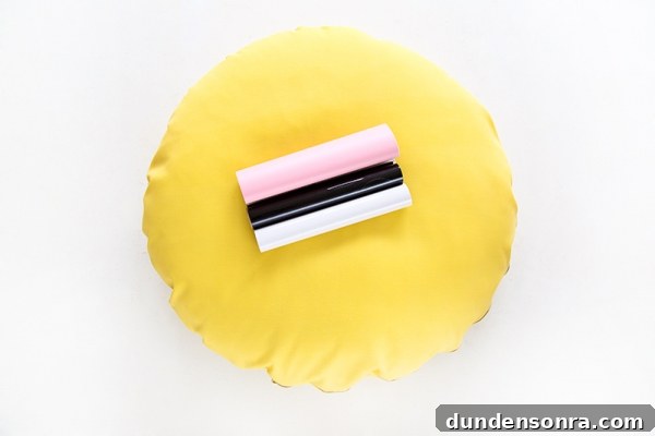 DIY Emoji Dog Bed Tutorial: Make a Cute Plush Pet Pillow 5 Rolls of paper on an emoji pillow