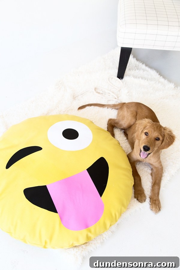 DIY Emoji Dog Bed Tutorial: Make a Cute Plush Pet Pillow 10 A dog on an emoji pillow