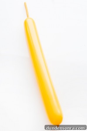 Close up of yellow long balloon