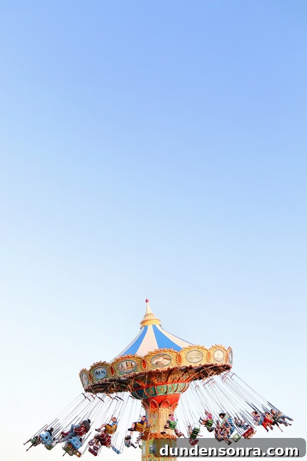 California Studio DIY Road Trip Guide: Scenic Stops & Creative Projects 17 The top of a carousel