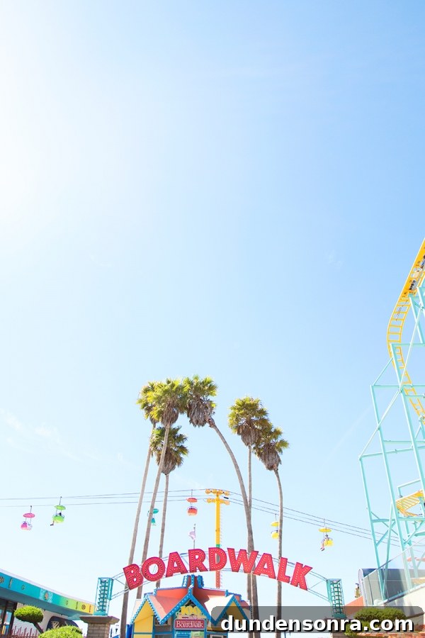 California Studio DIY Road Trip Guide: Scenic Stops & Creative Projects 18 Palm trees and roller coasters