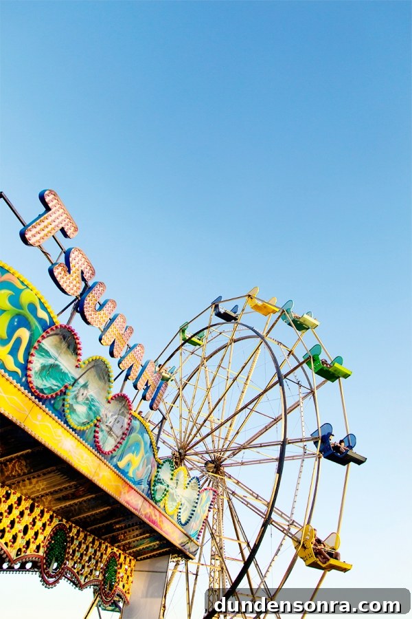 California Studio DIY Road Trip Guide: Scenic Stops & Creative Projects 19 A close up of a ferris wheel
