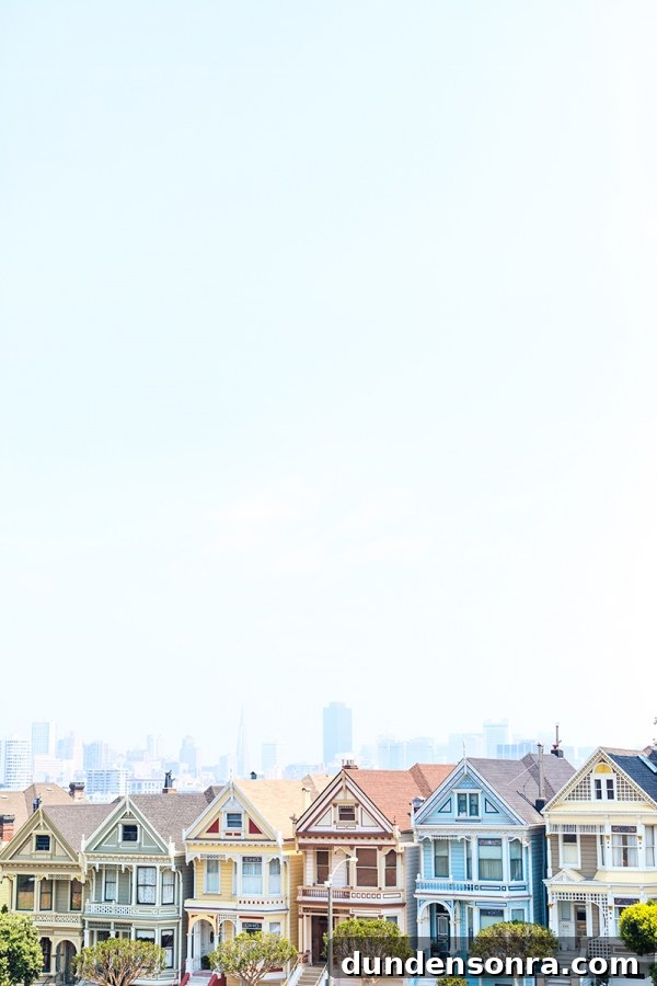 California Studio DIY Road Trip Guide: Scenic Stops & Creative Projects 28 The Painted Ladies