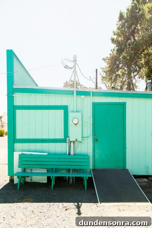 California Studio DIY Road Trip Guide: Scenic Stops & Creative Projects 10 A green shack