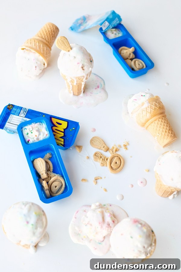 Dunkaroos Ice Cream Review: Nostalgic Throwback Treats to Try 4 Ice cream and trays with dunkaroo