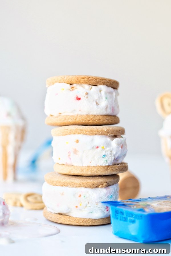 Dunkaroos Ice Cream Review: Nostalgic Throwback Treats to Try 8 Dunkaroo Ice Cream Sandwiches (Recipe!)