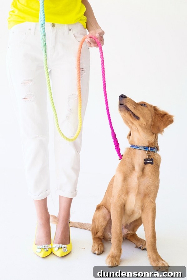 How to Make a Vibrant DIY Multicolor Dog Leash 2 A dog with a rainbow leash