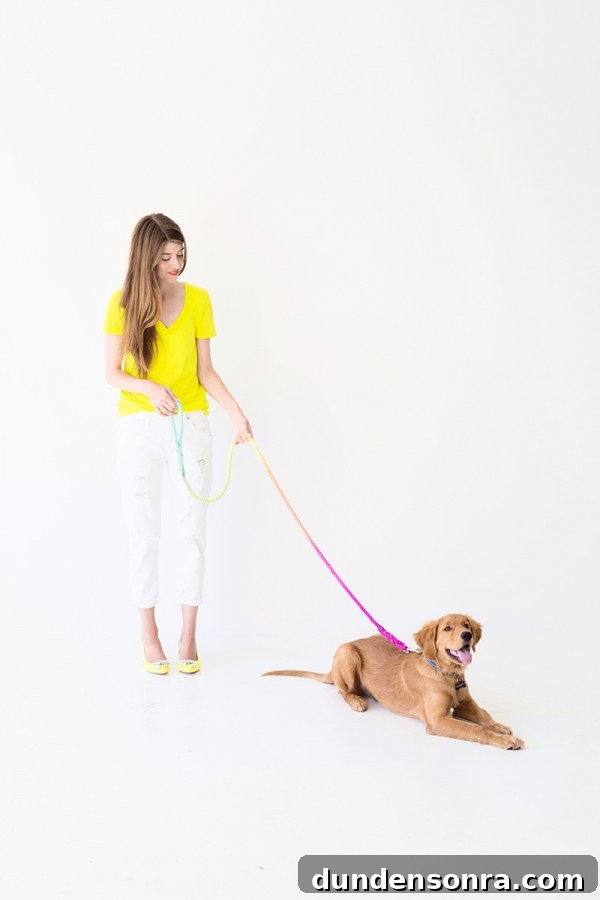 How to Make a Vibrant DIY Multicolor Dog Leash 11 A dog with a rainbow leash