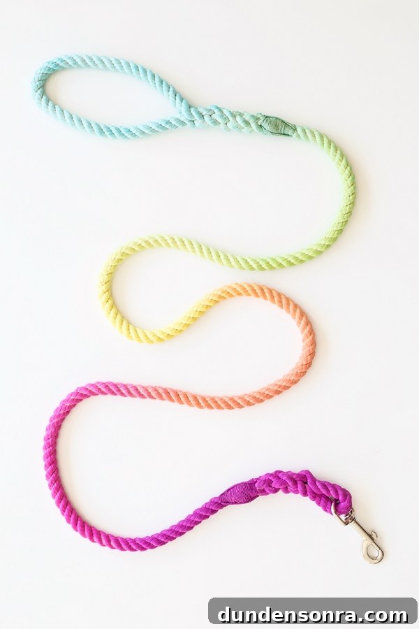 DIY Technicolor Dog Leash | studiodiy.com